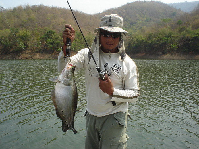 หล่อไปเลยนะ น้า ธนดิตถ์   :cheer: :love:

น้า  footfish .....................มาเพชรบูรณ์ ซิครับ โด
