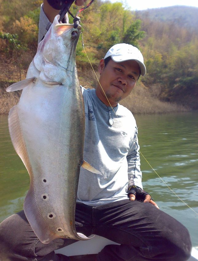 โอ้แม่เจ้า พี่ต่อ ใหญ่สุดๆครับ :cheer: :cheer: :cheer: