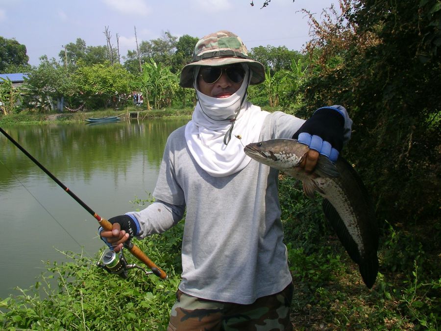  :smile: :smile:
หวัดดีครับ น้า sitfishing  น้า CHOKO10


 [q]งง กับ เหยื่อยาง [/q] :grin: :grin