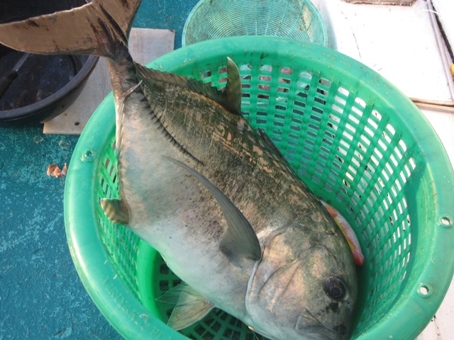 น้ำเช้ากับกระมงพร้าว  :grin: