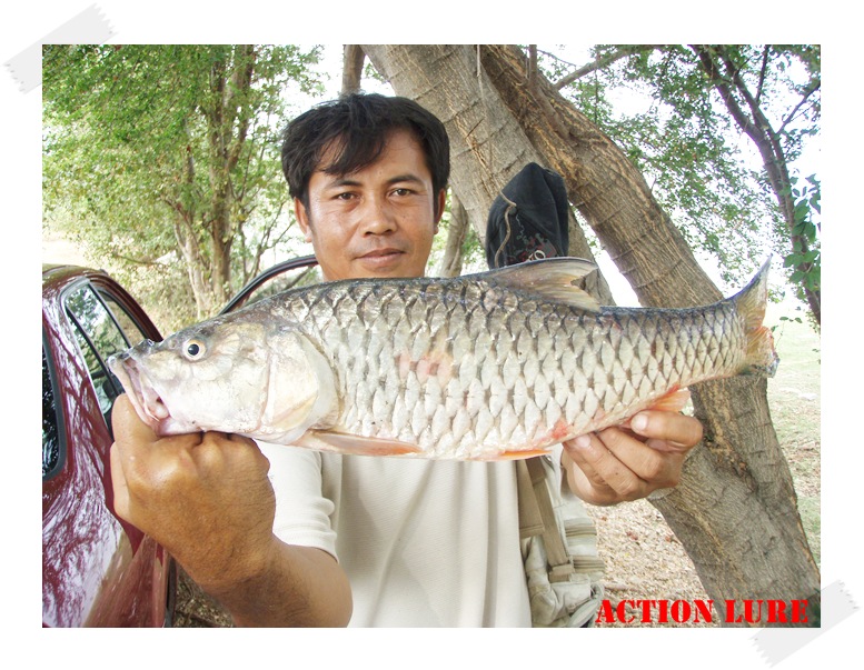 ปลาของน้า เด๊ะ  :cheer: :cheer: :cheer: