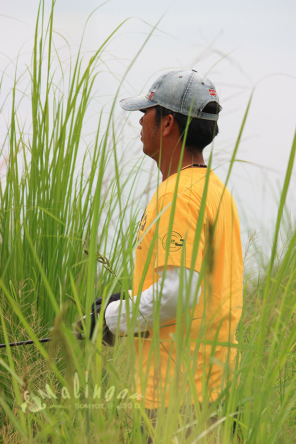 คนนี้...ยังมีทีเด็ดเหมือนเดิม...รอดูนะครับ
    น้าต้อม  ไก่บิน  