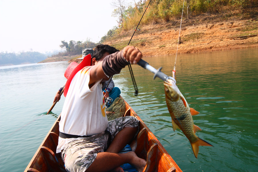 จับกรึบ...ยกย้าย ถ่ายเข้าเรือ...
 :grin: :grin:

โอ้ววววว....กระสูบใกล้เที่ยง พารอดเดี้ยง รอดตาย
