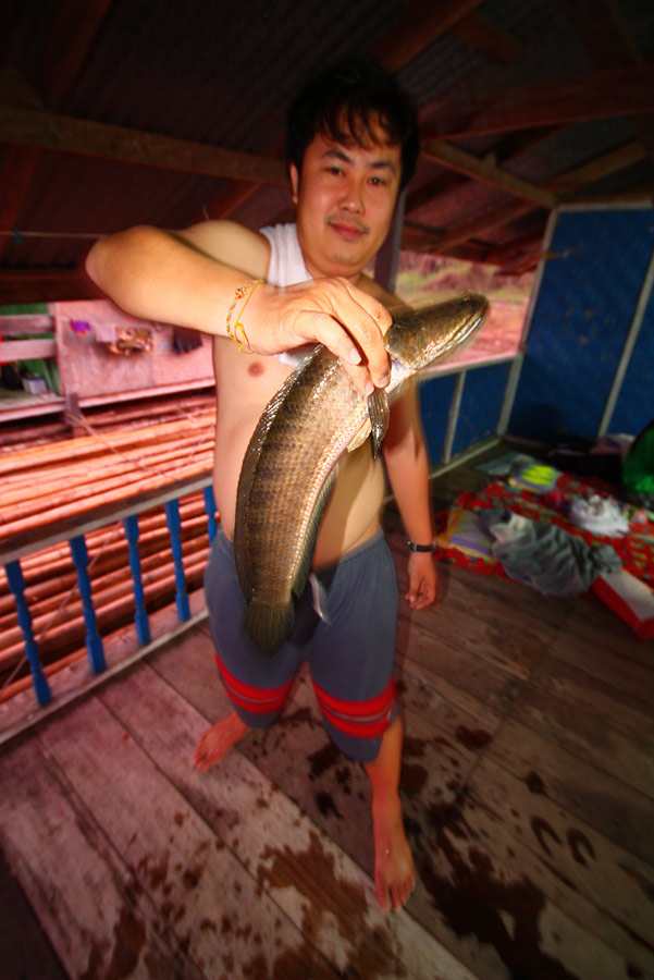 แล้วฝูงกระสูบก้อหายไป พร้อมกับความมืด...
 :grin: :grin:

กลับมาถึงแพ....เป็นไปดังคาดเล้ยยยย...
ช