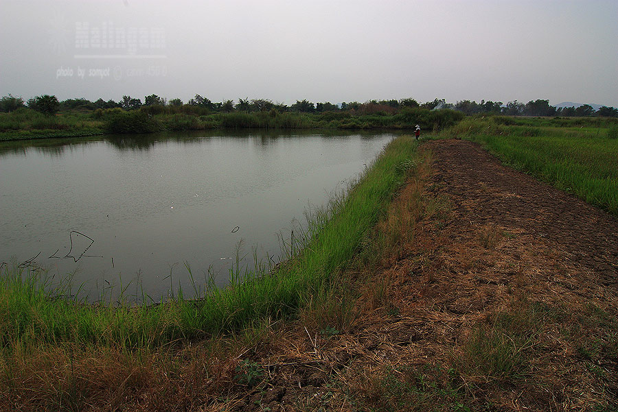 เดี๋ยว  ลงรูปไป  ก่อน..จะมาบบรยายทีหลังนะครับ
    กลัวไม่หมด...... :sleeping:  