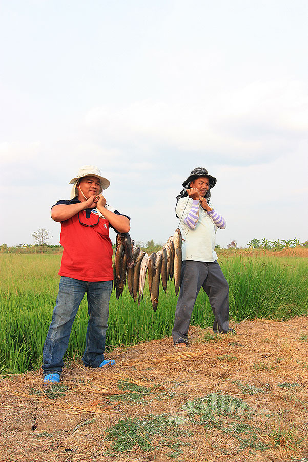 สวัสดีครับ  น้านก.....แหม  ประมูลตัดกัน เห็นๆ   :laughing: