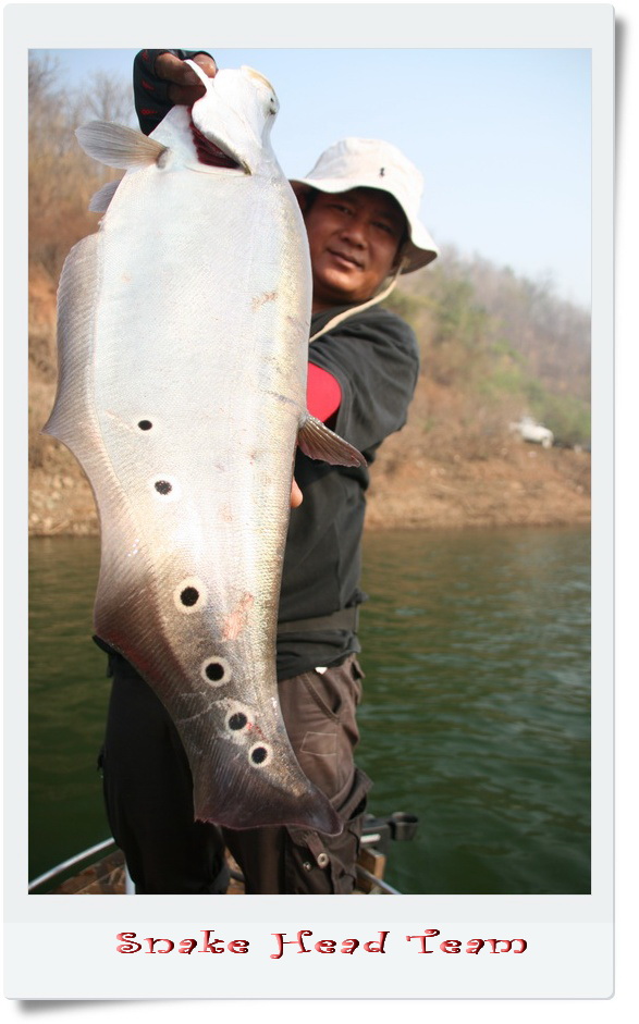

เท่ห์ สุด ๆ    :cool: :cool: :cool: :cool: