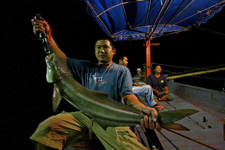 
เผลอแป๊บเดียว  ที่หัวเรือเค้าจั่วไ