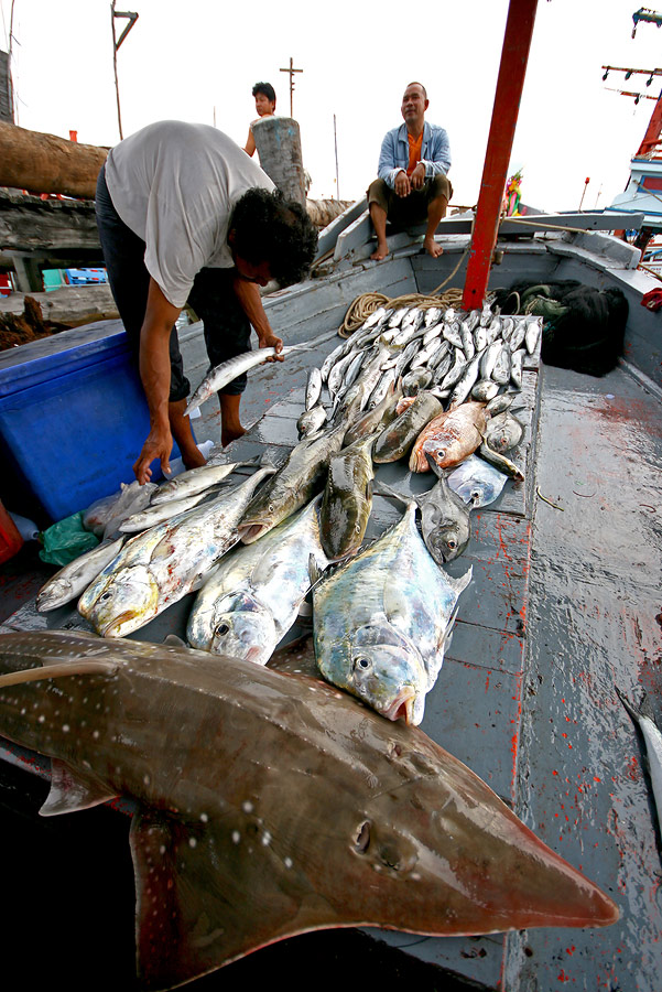 
เนื่องจากมีแขกลงเรือต่ออีกชุดนึง

พวกเราจึงไม่โอ้เอ้   รีบกลับเข้าฝั่ง ไม่อยากเดินทางตอนมืดๆ

