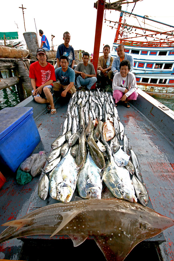 
ร่วมประทับใจ ไปตามๆกัน

ตามหาฝันกันจนเจอ

ไม่น้อยเลยครับ สำหรับทริพนี้

 :grin: