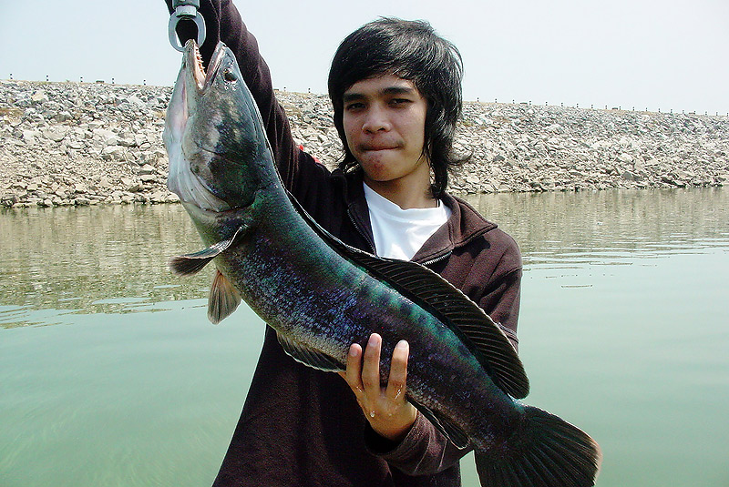 


 :cool: