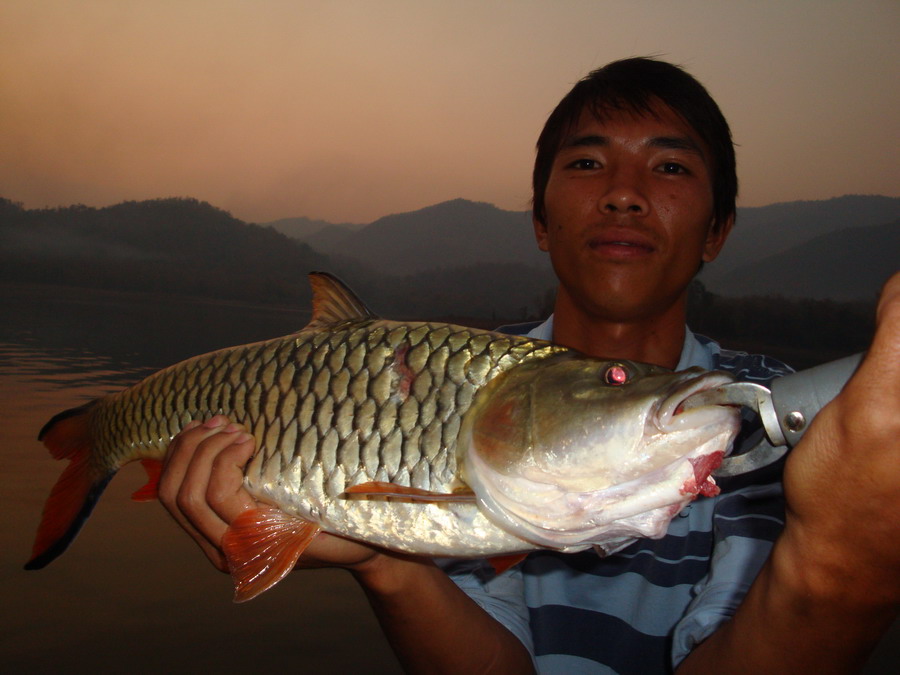กระสูบโทนครับ