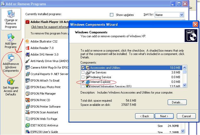 ตามรูปเลยครับน้า วิธีลบ IE ออก

เข้า control panel   > Add or removeprogram > Add/remove windows c