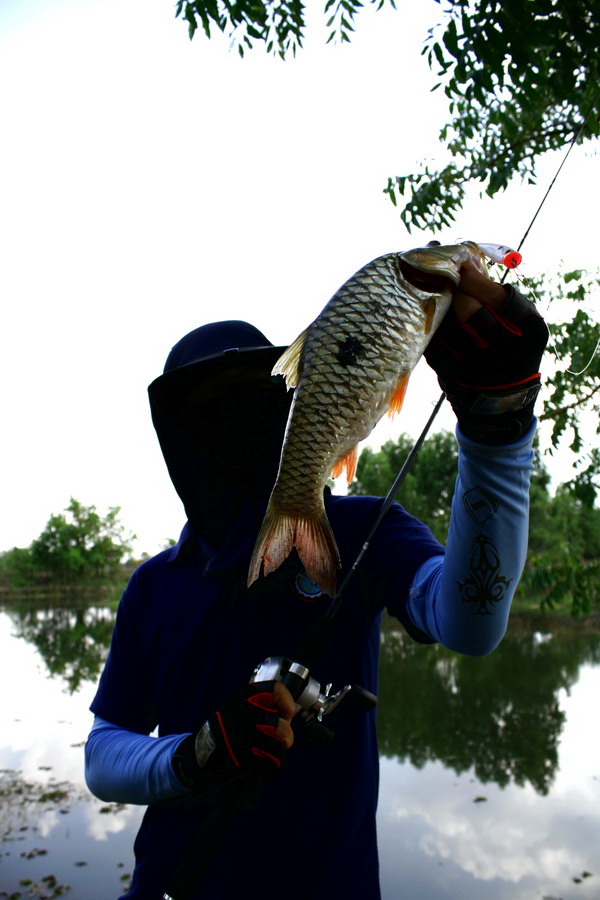 ดูเหมือนว่ากระสูบที่นี่จะแพ้ 3Dนะ
มิน่าหล่ะ เจ้าแมวเซาของเราหน้าบูดมาเลย
 :cool: :cool:
