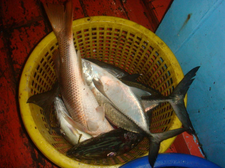 เข่งท้ายเรือ....ช่วงถูกถล่มรอบลำ....