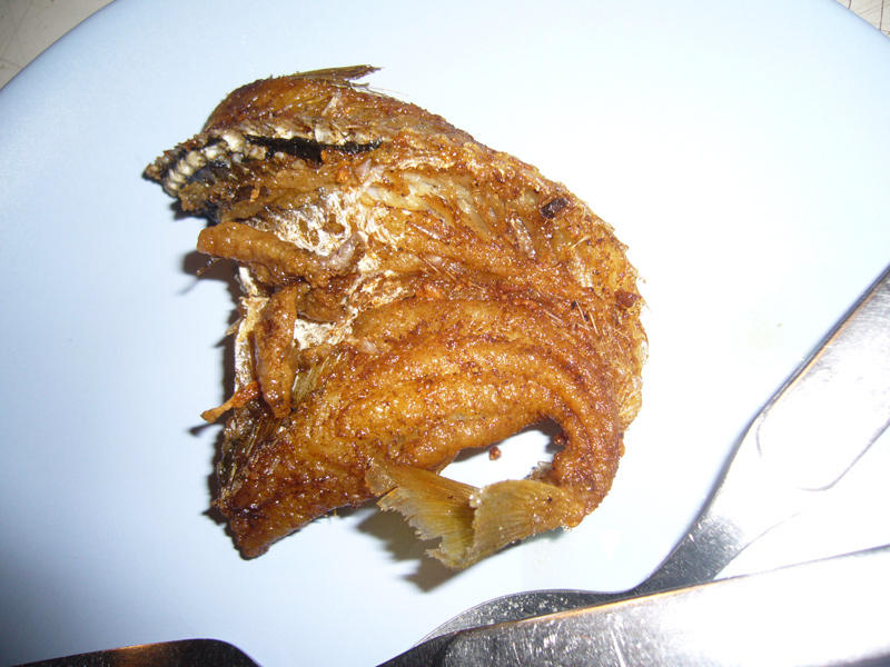 เห็ดโคนทอออด