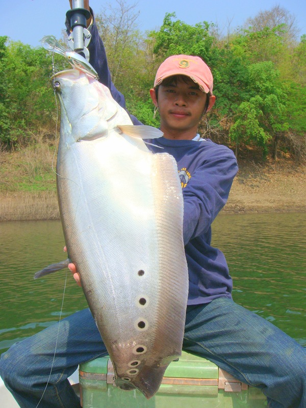 แต่ดูหน้า น้องตู่ จะเสียดาย....ตัวเมื่อเช้า (ที่หลุด)  :grin: :grin: