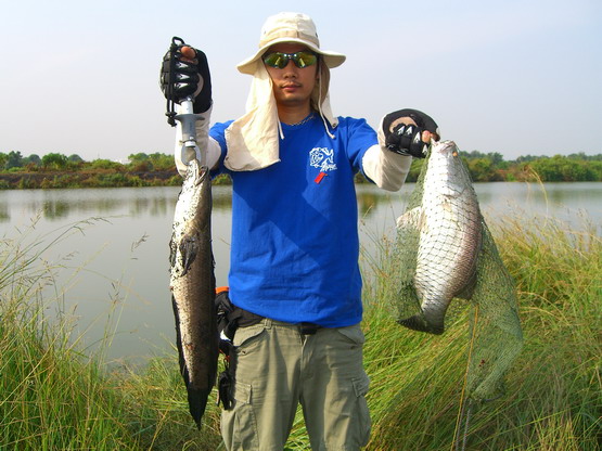   สบายตัวอีกท่านแล้ว
  ..........................
 
   :smile: :smile: :smile: :smile: :smile: