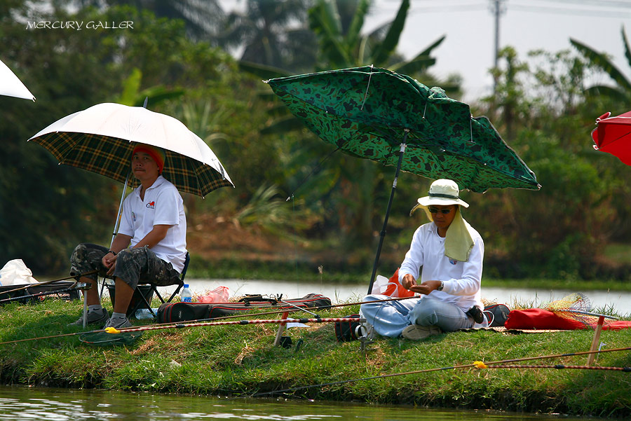 สงสัยจะตกมากไป ร่มเลยกลายสภาพเป็นแบบนี้  :laughing: