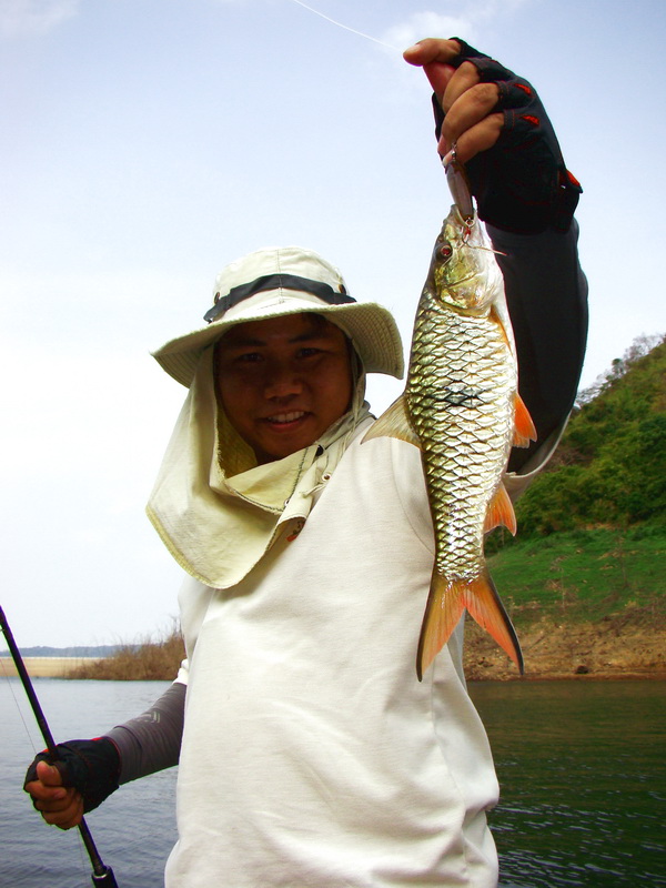 หมั่นใส้จริงนะตะเอง
แหม...ระริกระรี้ยิ่งกว่ากระดี่ได้น้ำเลยหละ
 :laughing: :laughing: