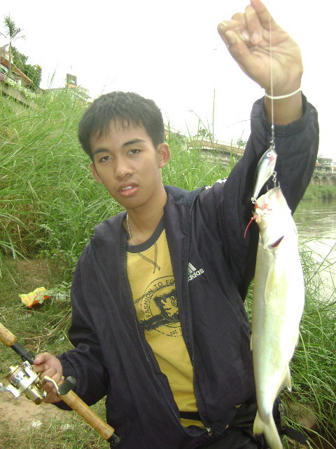 ไปป์ตีป๊อปเปอร์ก็ได้อีกตัว  ใหญ่ซะด้วย !