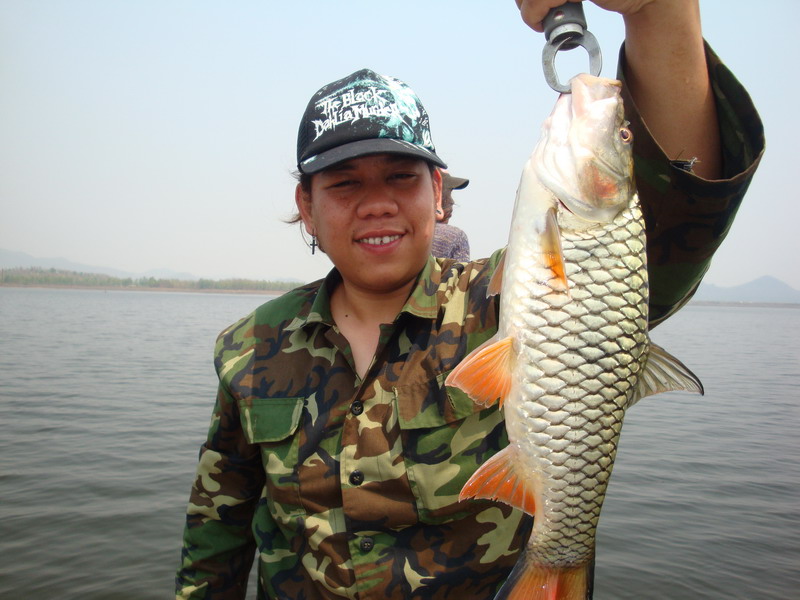ไซด์งามๆ จัดไป