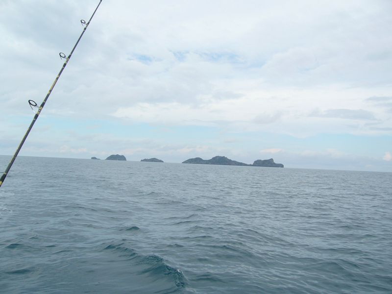 เกาะว่าว