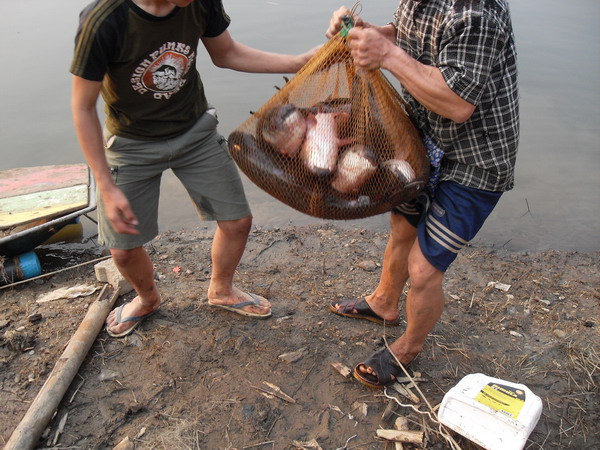 ภาพนี้ลุงนวลกับน้อง ๆ มาช่วยกันยกปลาครับ