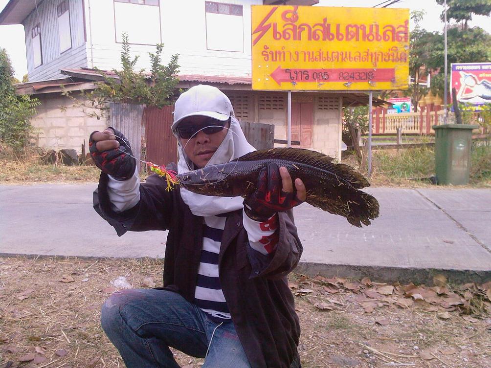 -ของน้ารักษ์..ไซด์งามๆ ก็มีมาโชว์ครับ..อิอิๆๆๆ :grin: :grin: :grin: