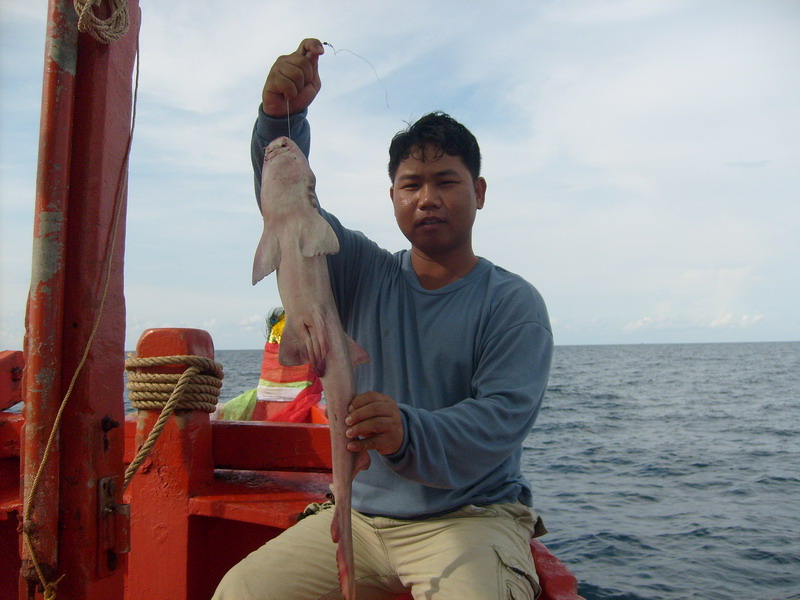  :ohh: :ohh:

แล้วได้มีเฮมีฮากัยหลามกบจากทางท้ายเรือ เอ้ย .....ไม่ใช่ปลาเกมส์อีกแล้วอ่ะ .... :spin