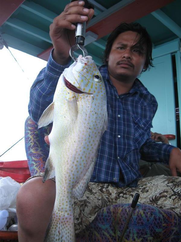 อ้าว....ดีใจจัง.................เหลือบมองดูดาวซ้ายมือ....300 แล้ว.....
----------------------------