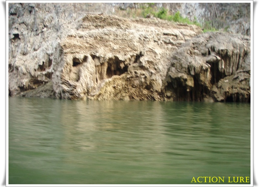 ตรงนี้แหล่ะครับที่ผมได้ปลาแล้วเข้าวินเลย :blush: :blush: :blush:
รูปตอนอัดปลาและได้ปลาไม่ได้ถ่ายไว้