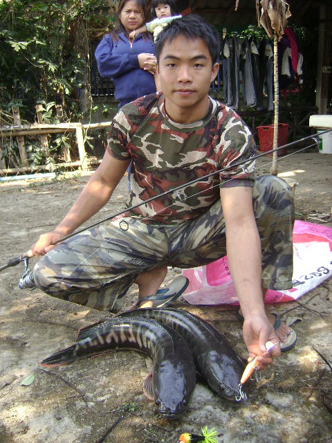 *** รูปนี้น้องชายผมอีก ตลอด 4 วันแรก ทั้งน้องชาย เพื่อนฝูงทั้งทับถม

ทั้งแซว มานบอกเหยื่อเอ็ง มานข