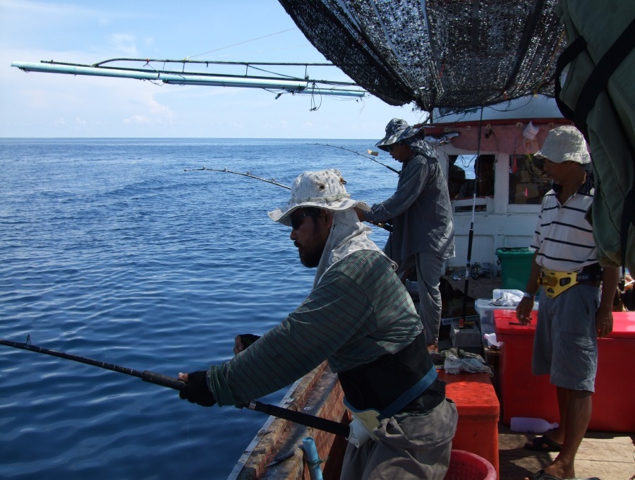 ปลากินรอบเรือได้สนุกกันทุกคน แต่ปลาได้แต่ตัวเล็กๆ