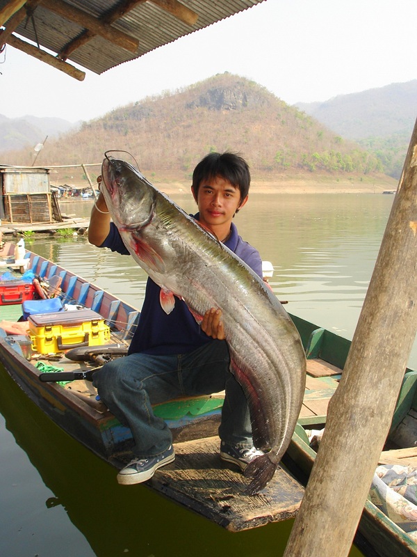 
เข้ามาก็เจอ....เจ้าตัวนี้เข้า