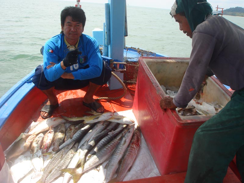 ที่อยู่บนเรือก้อถ่ายปลาออกจากถังแช่ครับ   :cheer: