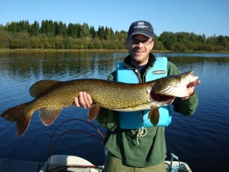 Gadda (Pike)-SWEDEN