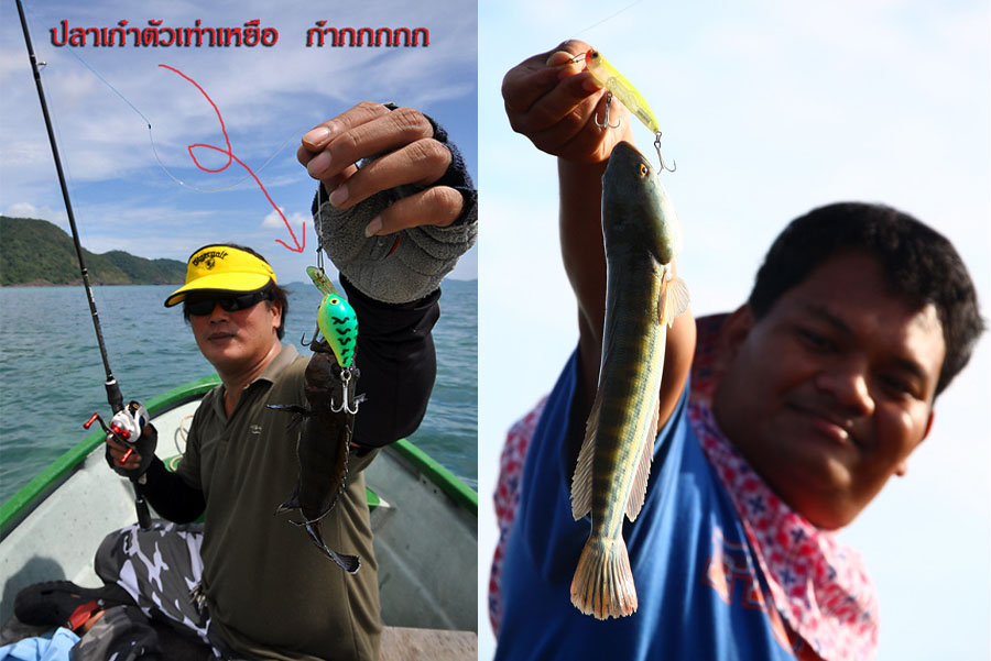  [q]เอ้า.....ผมก้อเห็นเค้าพูดถึงกัน อ้ายกระผมก้อหวังดีกลัวคนอื่นเค้าจะไม่เข้าใจ [/q]

ต้องชี้ชัดๆ 
