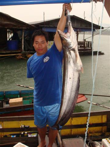ปลานะใหญ่แต่คนถือปลาใหญ่กว่า
