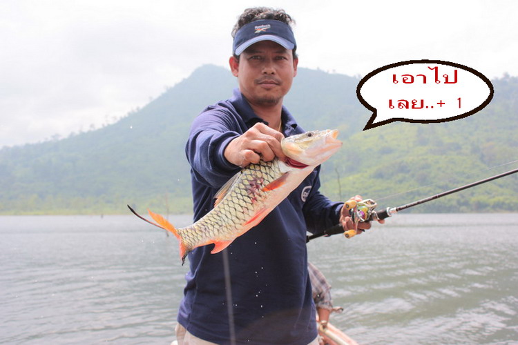 น้าโม่ง เชือดหมดเวปยังครับ................ :laughing: :cheer: +