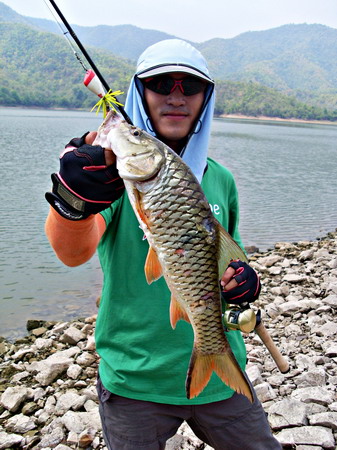 นี่ไง ๆ ปลาวันแรกหาว่าเราแห้วกระสูปเค้าก็นับนะผู้การเสือ :grin: :grin: :grin: