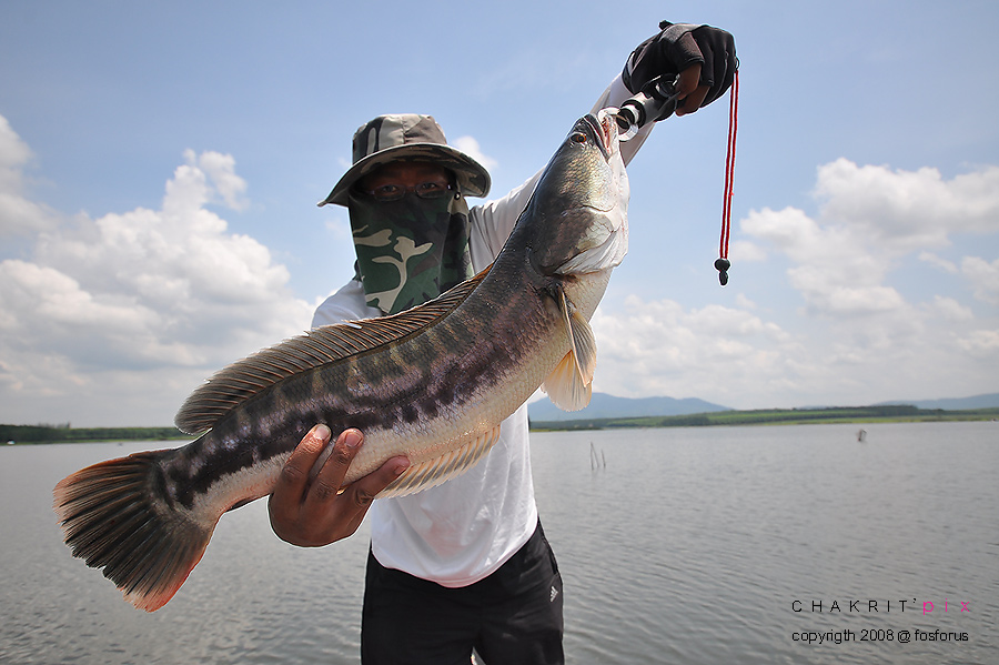  [q]รูปสวย ปลาเยอะดีครับ [/q]


ขอบคุณครับ น้าthana_ampawafishing 


 [q]สงสัยต้องหาเมียแถวสิง