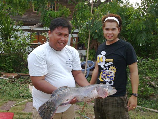 เชิญส่งภาพปลาแหล่งธรรมชาติที่น้าๆประทับใจเพื่อความบรรเทิงของป๋ม