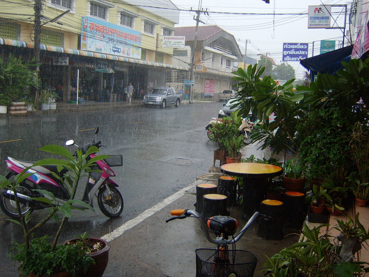 วันที่ 11 ฝนตกตั้งแต่ก่อนสว่างยันบ่ายโมงครึ่ง เลยอดตกปลาเลย...เซ็ง.... :angry: :angry: :angry: :angr