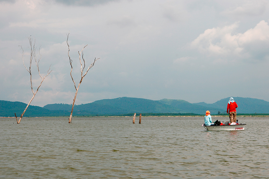 เราวิ่งเรือ มาหาน้าเมท  เพราะน้าเมท เรือไม่มีเครื่อง มีแต่ มอเตอร์ไกด์  เป็นห่วงว่าจะได้ปลาหรือเปล่า