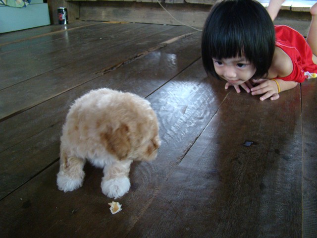 ลูกสาวกับลูกหมา :grin: