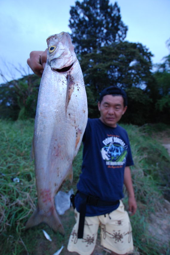 โย่ว โย่ว...ปากน้ำโพเมืองสวรรค์