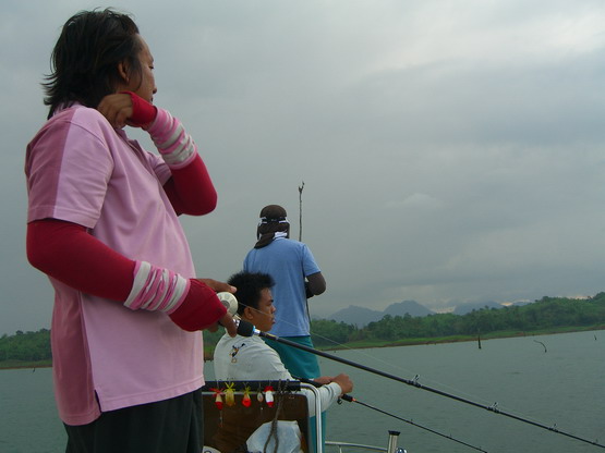 เอาช้วยกันทำมาหากินหน่อย..