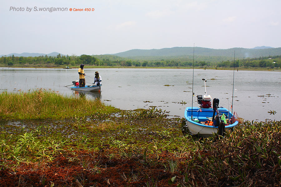 รูปที่ผมหมดแล้วครับ...รูปปลาอยู่ที่