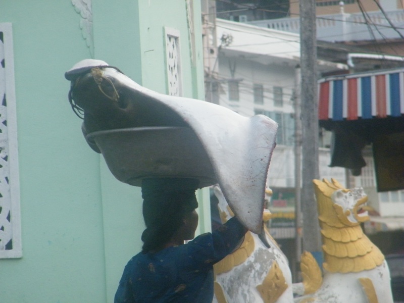 กะเบนนก